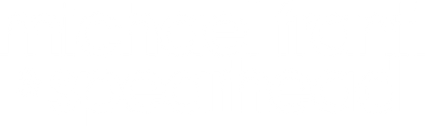 Michael Franti & Spearhead logo